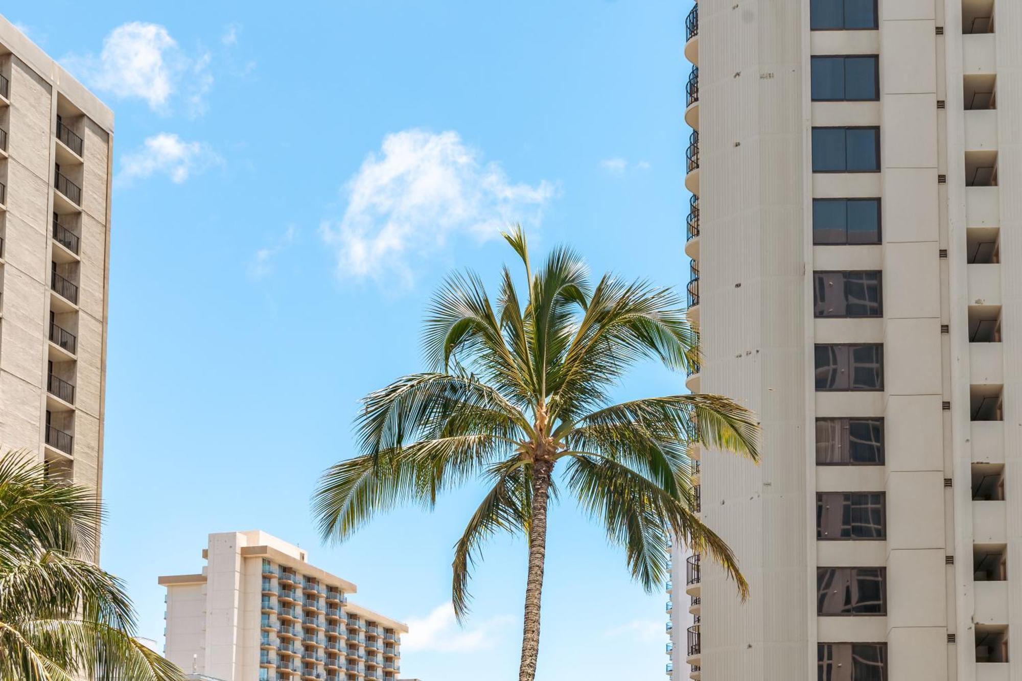 Aloha Vibes With Ocean Views, Near Beach & Parking! Хонолулу Екстериор снимка