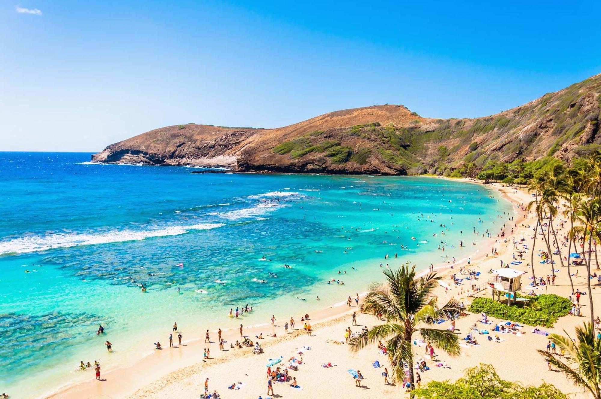 Aloha Vibes With Ocean Views, Near Beach & Parking! Хонолулу Екстериор снимка